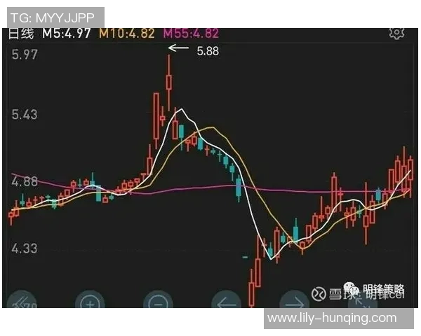 定海神针：悟空体育如何在激烈竞争中实现稳健运营与持续发展